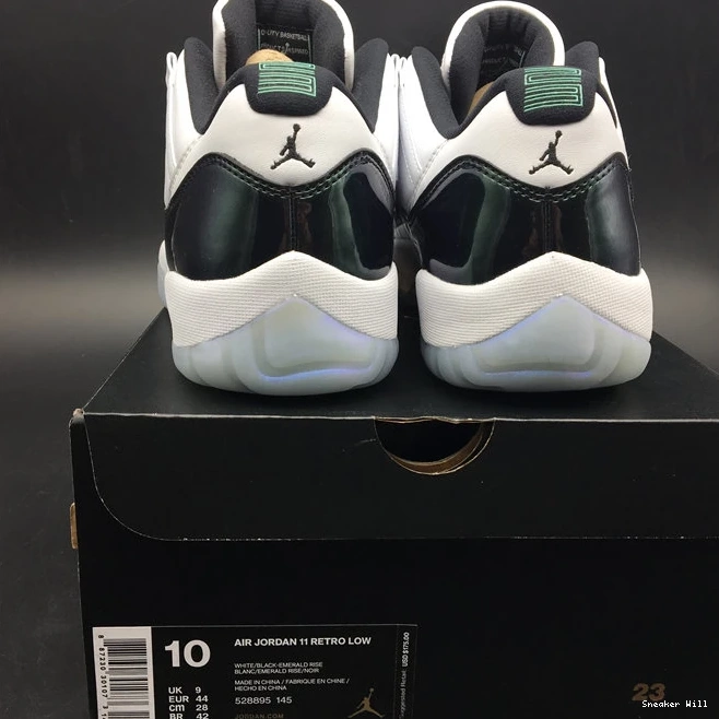 Iridescent Retro AllSeason Jordan 9961 528895- Low 11 1082 0622